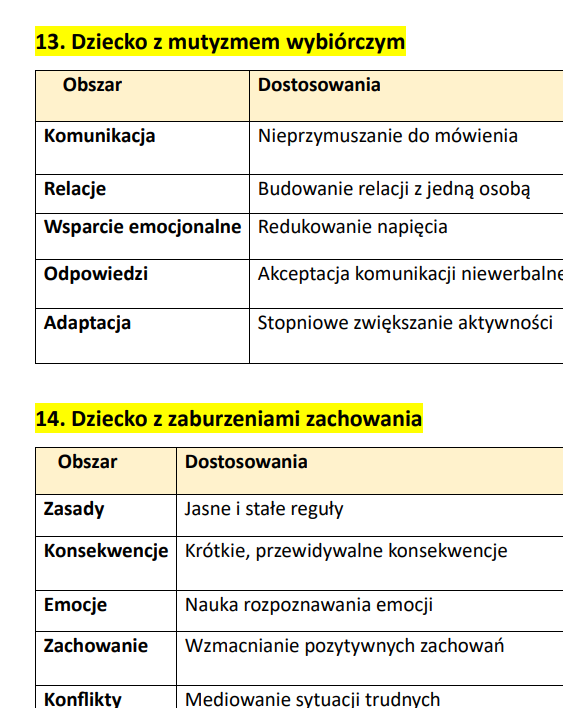 Dostosowania do opinii i orzeczeń -przedszkole - obrazek 3