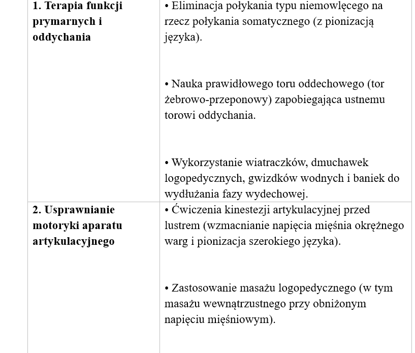 LOGOPEDA — ROCZNE SPRAWOZDANIE KOŃCOWE szkoła i przedszkole - obrazek 7