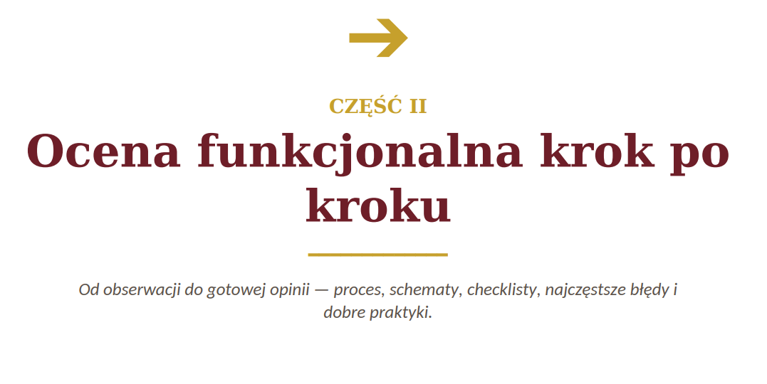 OCENA FUNKCJONALNA UCZNIA -E-BOOK 350 STRON - obrazek 26