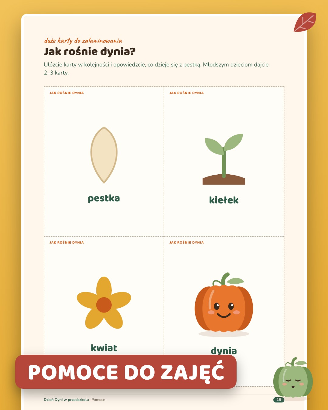 Jak rośnie dynia