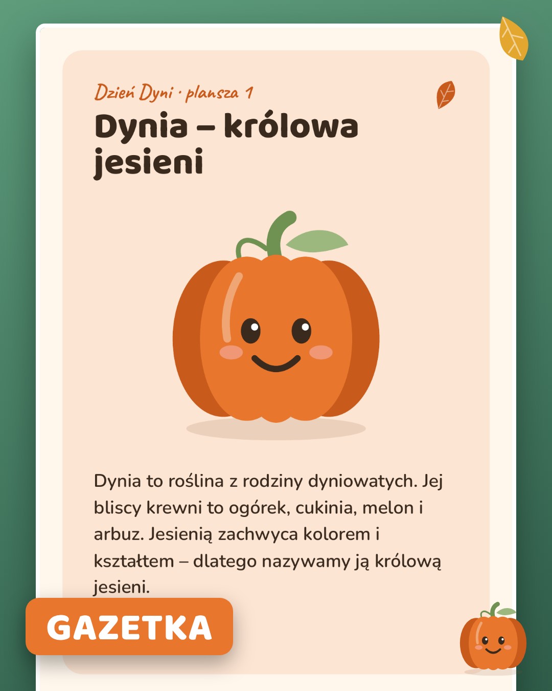 Gazetka